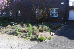 DSCN0442
