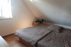 DSCN0342